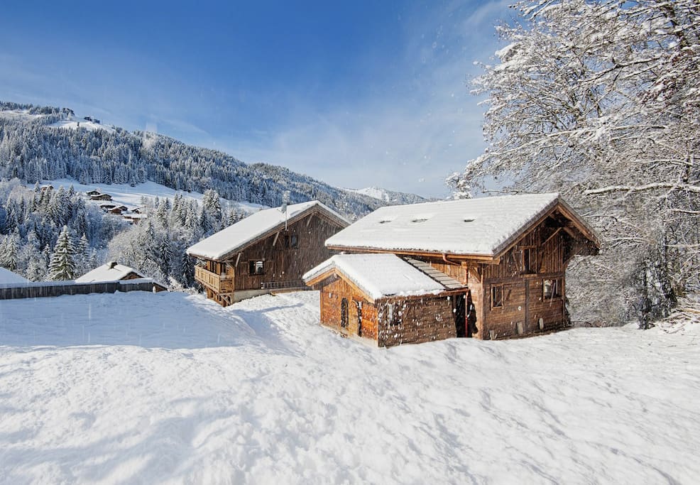 Slideshow Image